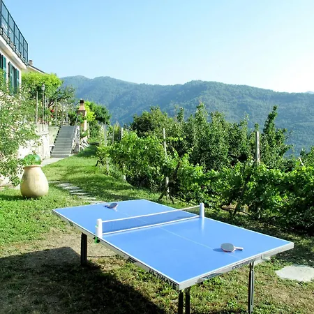 Viola - Vlo203 By Interhome