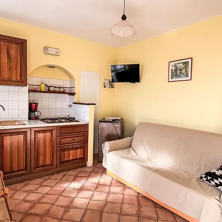 Viola - Vlo203 By Interhome *