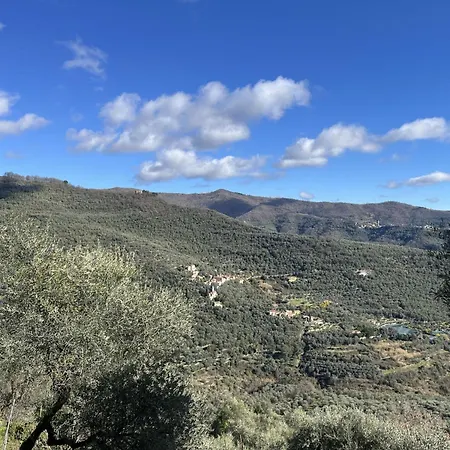 Viola - Vlo203 By Interhome Lägenhet Lecchiore